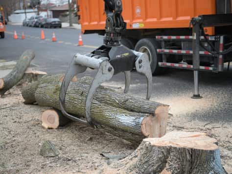 Debris Pile Grinding